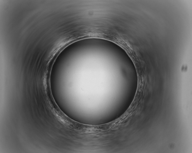 X0000099290098200805090940