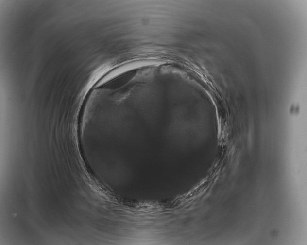 X0000099290099200805090940