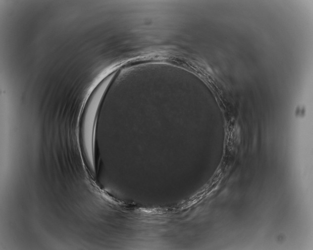 X0000099290100200805090940