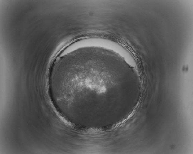 X0000099290101200805090940