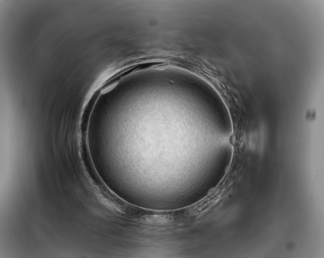 X0000099290102200805090940