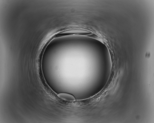 X0000099290103200805090940