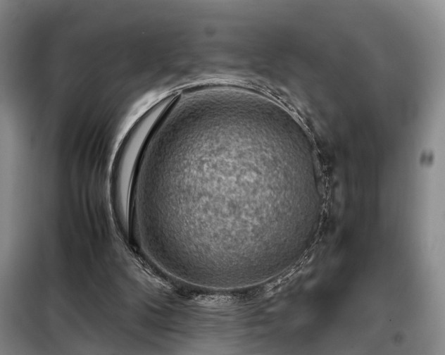 X0000099290104200805090940