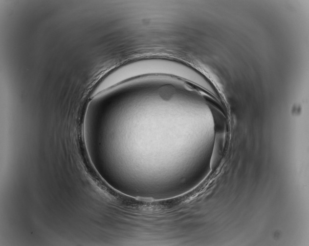 X0000099290105200805090940