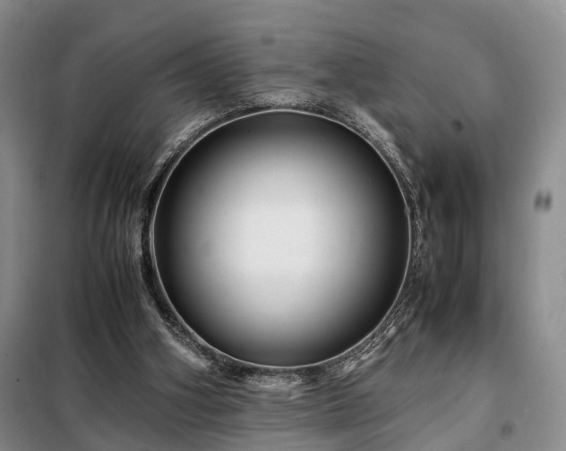 X0000099290106200805090940