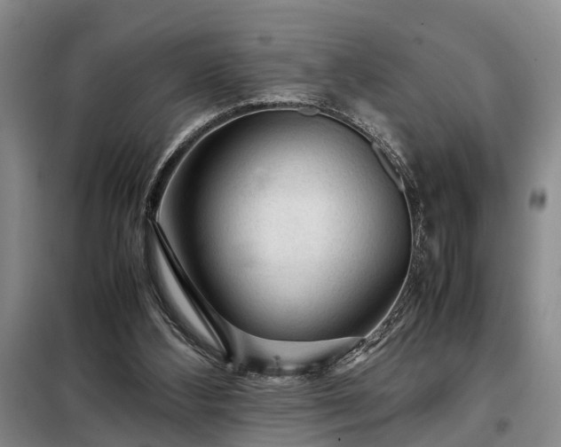 X0000099290108200805090940
