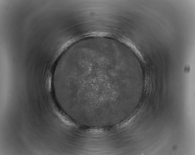 X0000099290110200805090940