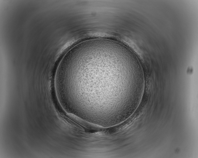 X0000099290111200805090940