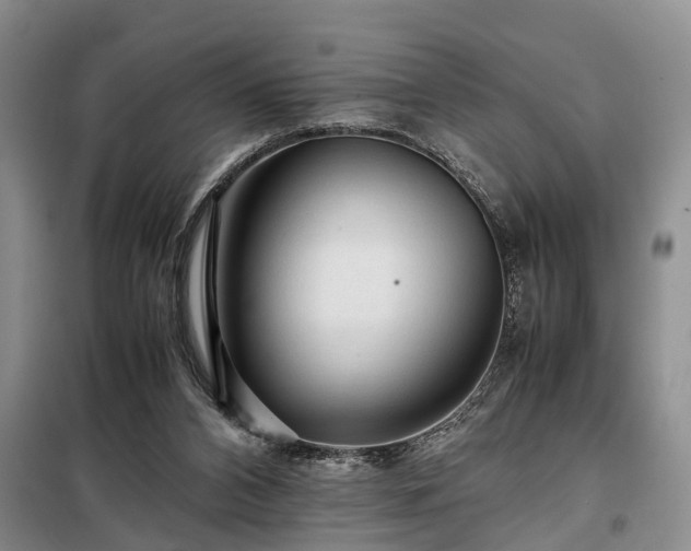 X0000099290112200805090940
