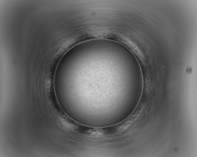 X0000099290113200805090940