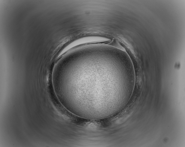X0000099290115200805090940