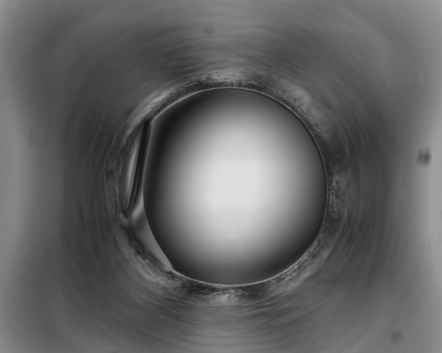 X0000099290116200805090940