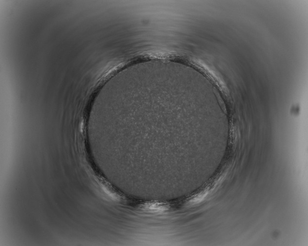 X0000099290117200805090940
