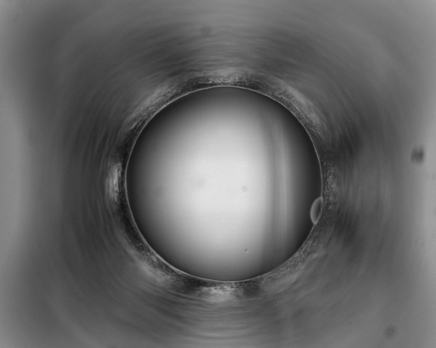 X0000099290118200805090940