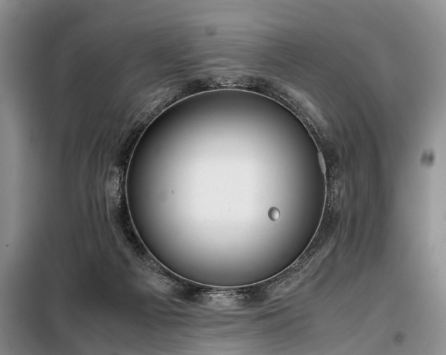 X0000099290121200805090940