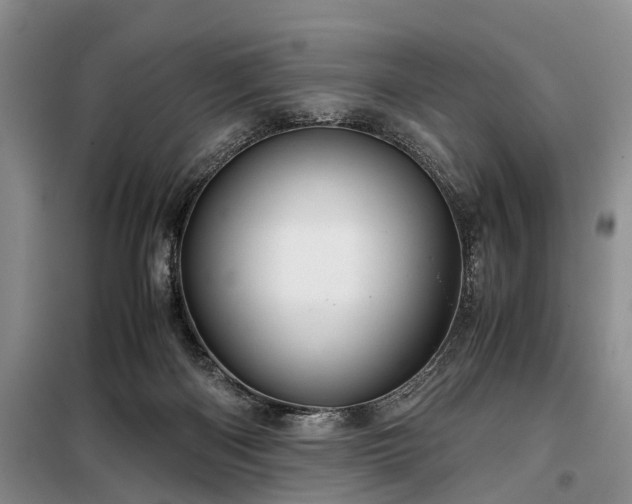 X0000099290122200805090940