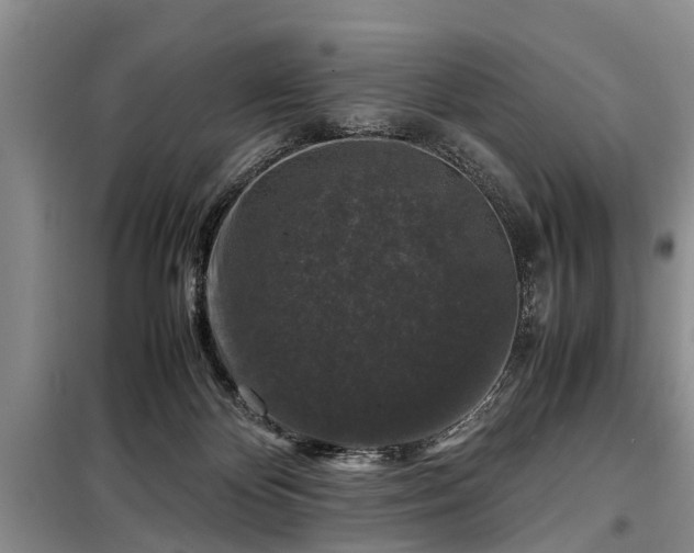 X0000099290124200805090940