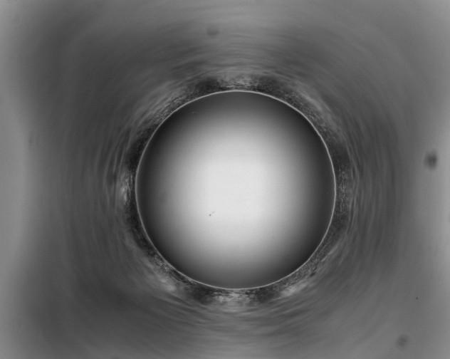 X0000099290125200805090940