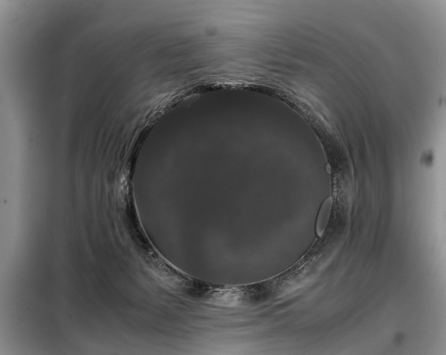 X0000099290127200805090940