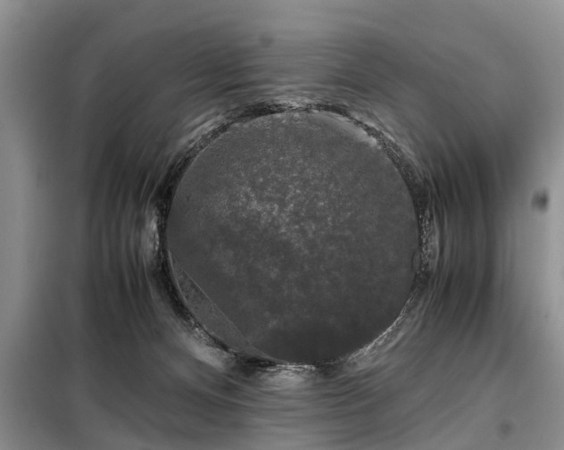 X0000099290128200805090940