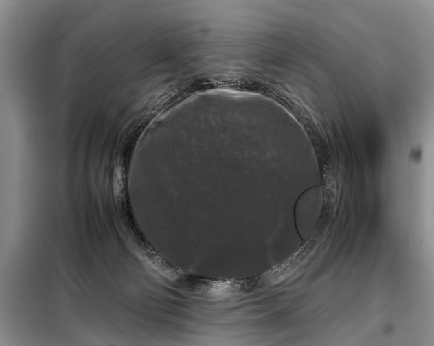 X0000099290130200805090939