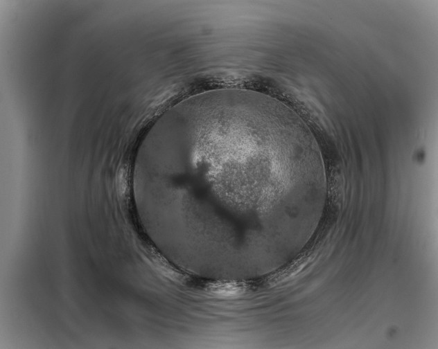 X0000099290131200805090939