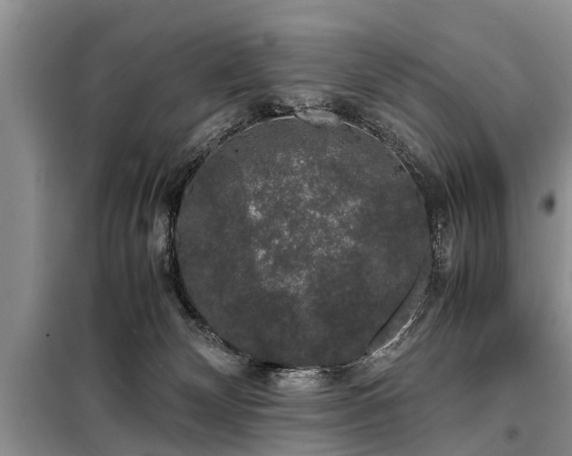 X0000099290132200805090939