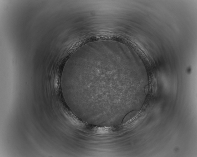 X0000099290134200805090939