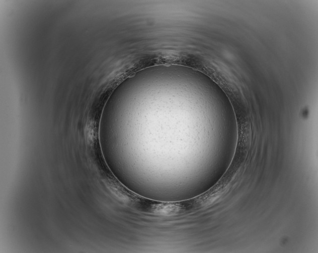 X0000099290135200805090939