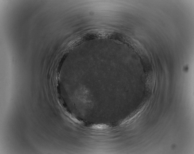 X0000099290137200805090939