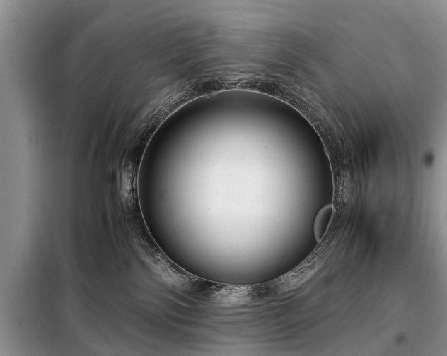 X0000099290138200805090939