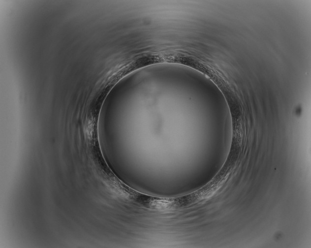 X0000099290139200805090939
