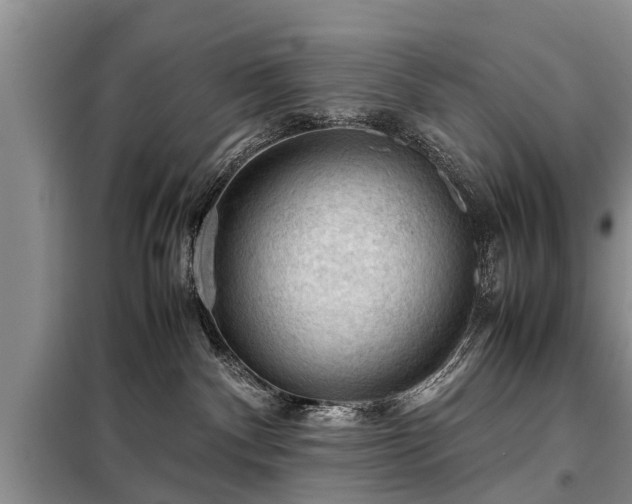 X0000099290140200805090939