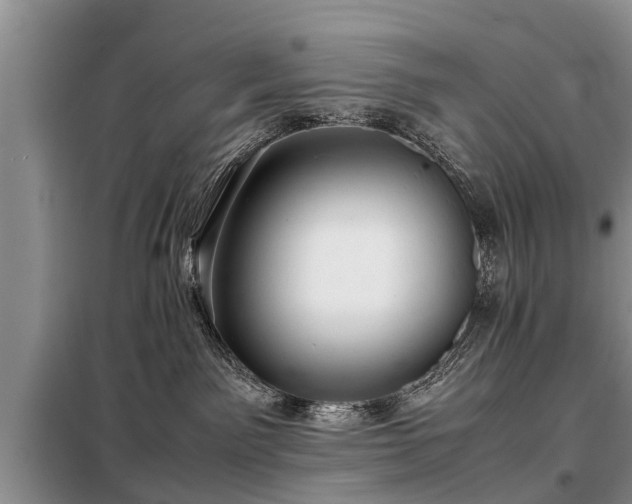 X0000099290141200805090939