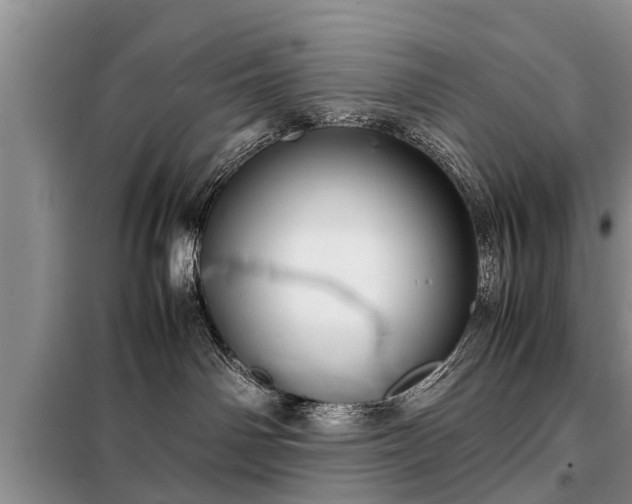 X0000099290142200805090939