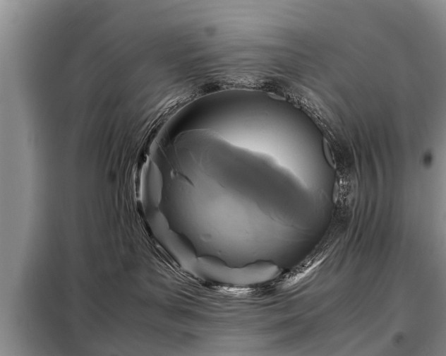 X0000099290143200805090939