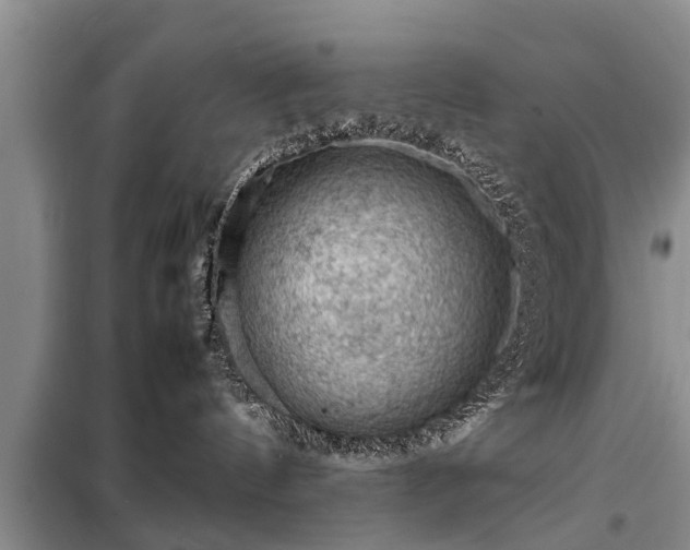 X0000099290144200805090939