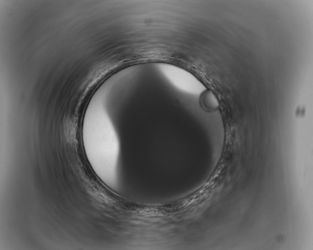 X0000099290146200805090939