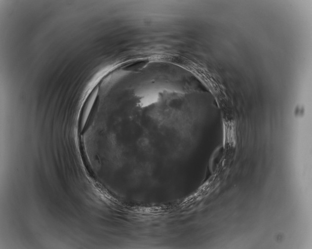 X0000099290147200805090939