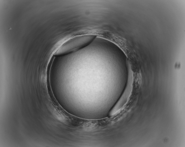 X0000099290148200805090939