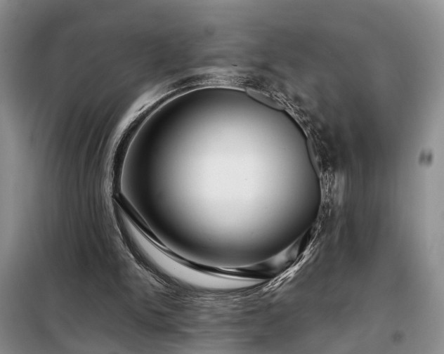 X0000099290150200805090939
