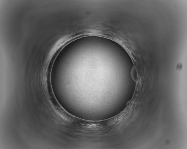 X0000099290151200805090939
