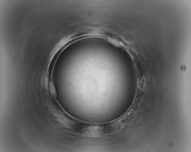 X0000099290152200805090939