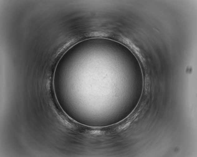 X0000099290153200805090939