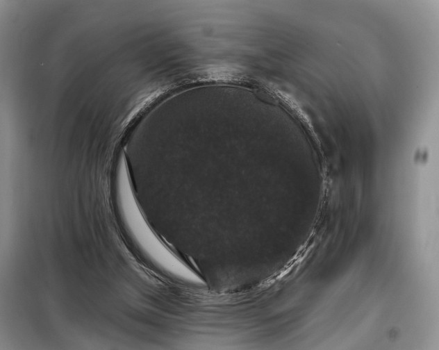 X0000099290154200805090939