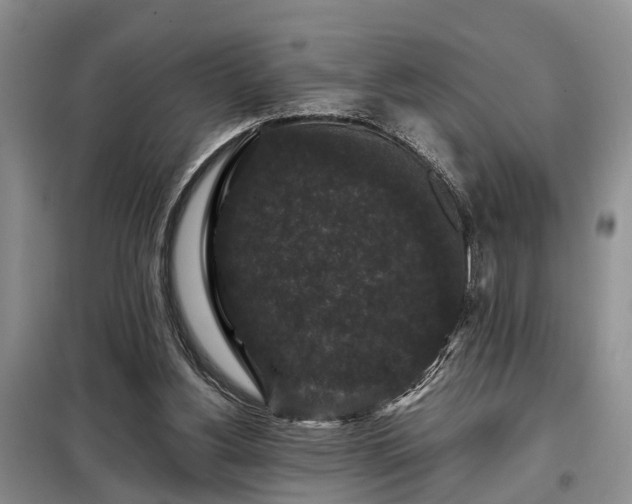 X0000099290156200805090939