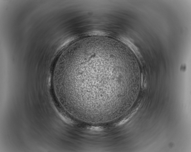 X0000099290157200805090939