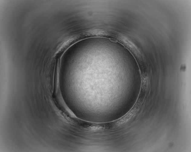 X0000099290158200805090939