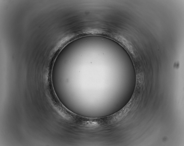 X0000099290159200805090939