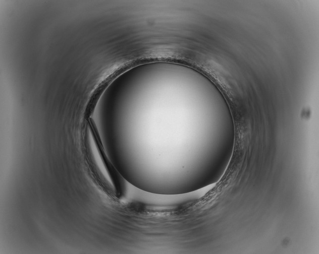X0000099290160200805090939